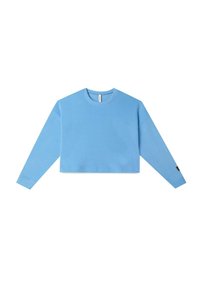 Felpa leggera azzurro chiaro, corta, con maniche lunghe, colletto tondo, tessuto morbido e una piccola etichetta nera sulla manica sinistra.