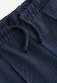 Next PINTUCK REGULAR FIT - Rövidnadrágok - navy blue
