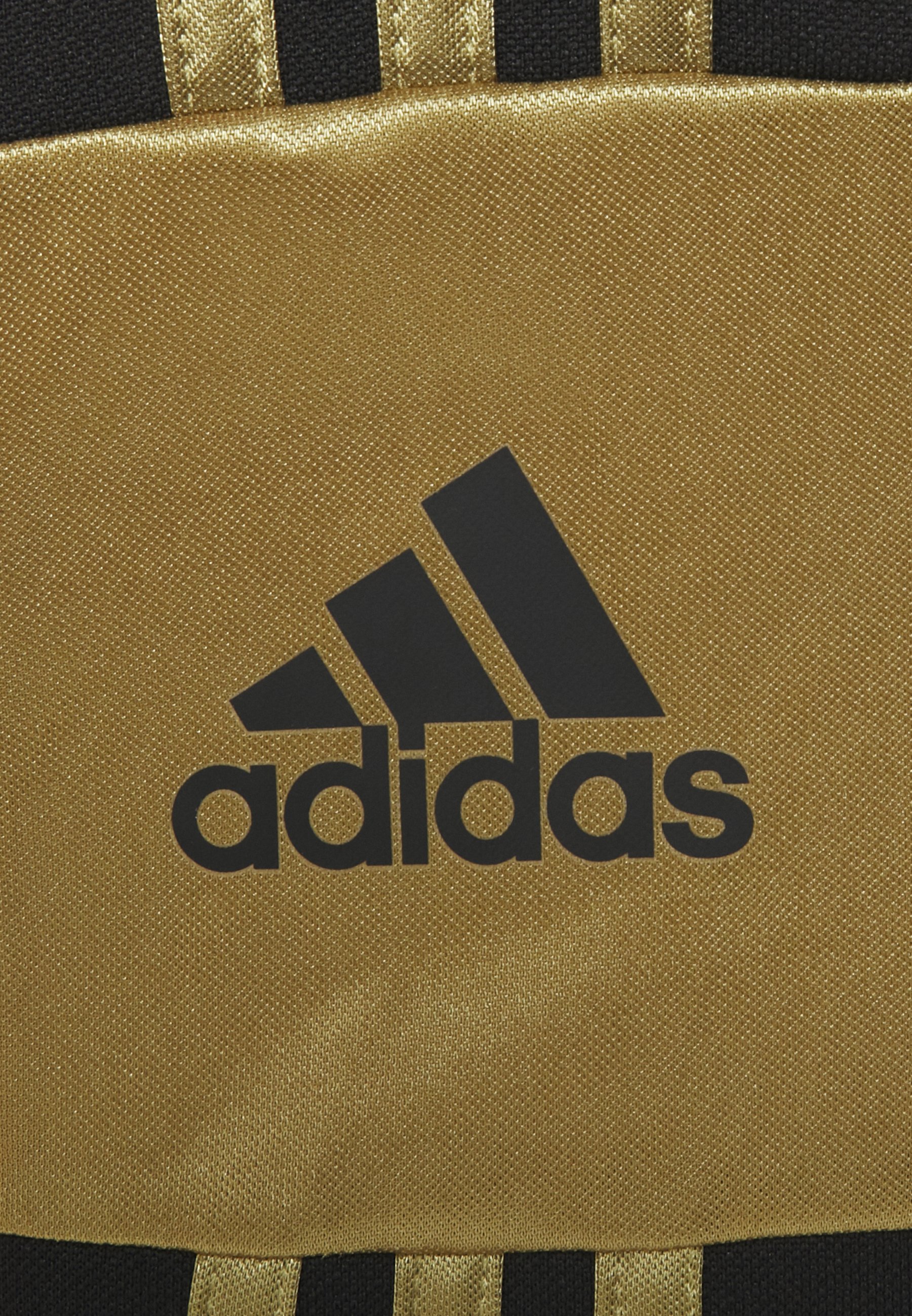 adidas Performance SALAH PANT 