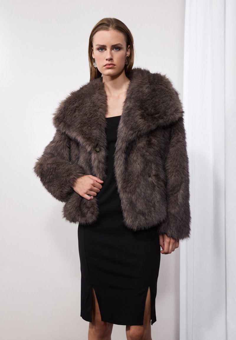 Anna Field by Zalando - Zimska jakna - grey, Povećaj