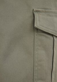 WE Fashion BLUE RIDGE - Pantalones cargo - green