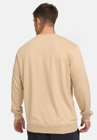 Felpa beige a girocollo con maniche lunghe, vestibilità comoda e polsini e orlo a coste. Texture liscia senza motivi o dettagli visibili.
