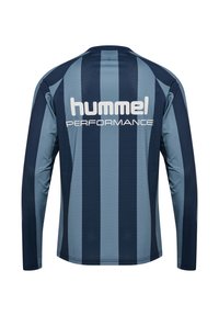 Langärmliges Sporttrikot mit vertikalen dunkel- und hellblauen Streifen, mit dem Schriftzug „hummel PERFORMANCE“ auf dem oberen Rücken.