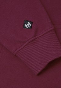 Honesty Rules HOODED SWEAT BASIC - Luvtröja - bordeaux
