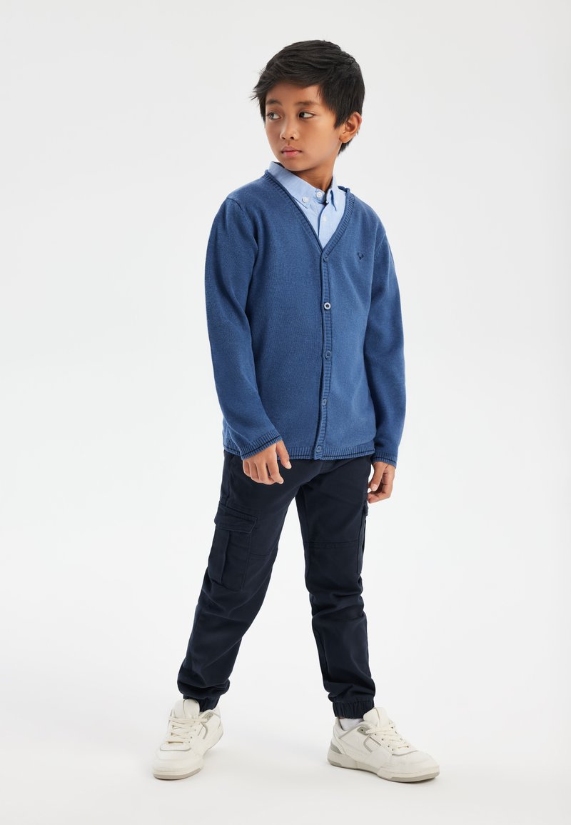 Blue knitted cardigan with a v-neck, button closure, worn over a light blue collared shirt. Paired with dark navy cargo pants and white sneakers.