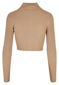Beige ribbad turtleneck crop top med långa ärmar; har texturerad tyg och en hög krage för en åtsittande look.