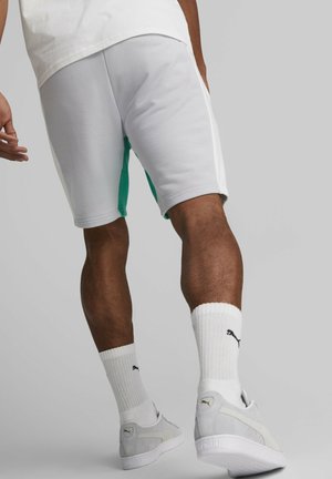 Puma CLASSICS BLOCK 8 - Shorts - platinum gray/white