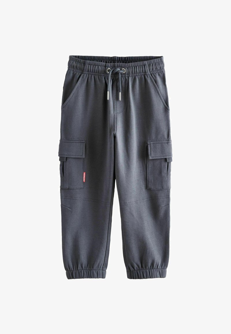 Next JOGGERS - REGULAR FIT - Kargopüksid - petrol
