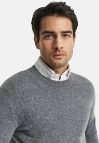 Pull en laine gris avec un col ras du cou côtelé, porté par-dessus une chemise blanche à col avec de fines rayures. Texture lisse, design ajusté.