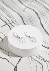 Orecchini in argento con un design circolare che presenta un'incisione di un paesaggio montano, appesi a chiusure a leva su una base circolare bianca.