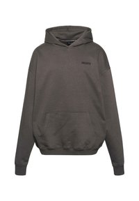 Gray hooded sweatshirt in soft fabric with a front pocket, ribbed cuffs and hem, and a small black logo on the chest.