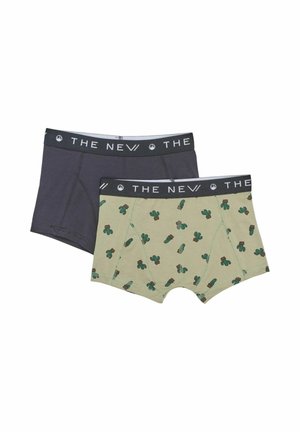 2-PACK EXP - Panties - tea cactus aop