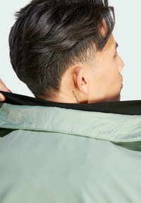 adidas Terrex XPERIOR VARILITE HYBRID  - Weste - silver green