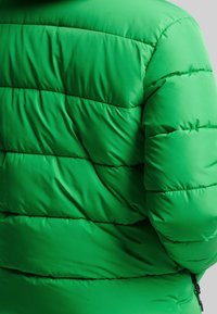 Superdry & Co Giacca invernale - green