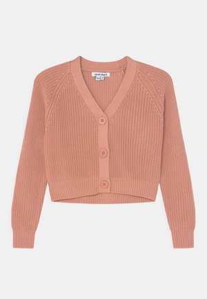 RAGNHILD - Cardigan - cameo brown