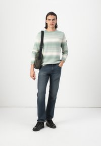TOM TAILOR IRREGULAR STRIPES CREWNECK  - Strikkegenser - green/white