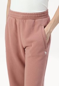 Abercrombie & Fitch ICON RELAXED - Spodnji deli trenirk - burlwood