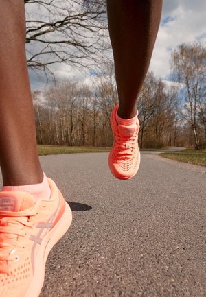 ASICS Chaussures de running sur route - orange