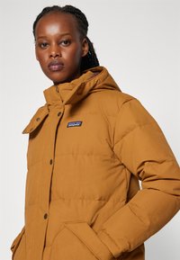 Patagonia DOWNDRIFT PARKA - Pūkinis paltas - shelter brown