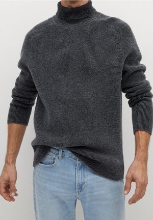 Pullover - grey