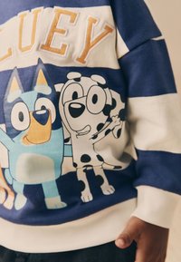 Felpa a righe blu e bianche con personaggi dei cartoni animati: un cane blu e un cane maculato nero. Testo "BLUEY" ricamato in arancione.