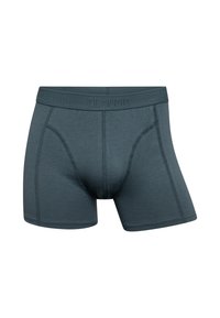 Mænds boxer briefs i mørk teal, lavet af blødt stof. Har en logo-præget talje og ergonomisk syning for komfort og pasform.