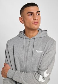 Grijze hoodie met rits en lange mouwen, textuur van de stof zichtbaar. Heeft een logo op de borst en witte chevronontwerpen op de mouwen.