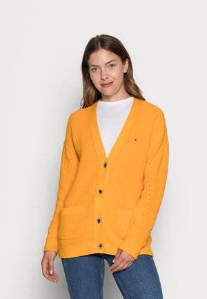 HAYANA CARDIGAN - Gilet - amber ochre