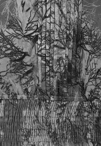 Tkanina z czarno-białym nadrukiem o tematyce naturalnej, z gałęziami drzew i plisowanym teksturą. Materiał ma miękki, strukturę teksturową.