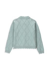Jasnoniebieski sweter z dzianiny z wzorem w diamenty, wypukłymi elementami, ściągaczem przy dekolcie i falbaniastym wykończeniem. Pokazany widok z tyłu.