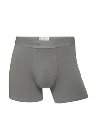 Gray boxer briefs made of soft fabric, featuring a snug fit, mid-length legs, and a logo band at the waist. Smooth texture and minimal seams.