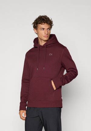 PLANET HOODIE - Sweat à capuche - burgundy
