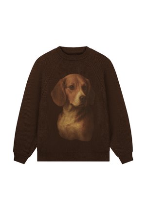 Pockies, BEAGLE KNIT - Striktrøje - brown