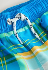 No seleccionado, multicoloured check