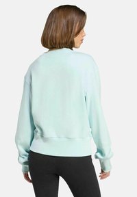 Sweatshirt in cotone verde menta con vestibilità ampia, polsini e vita a coste, dotato di scollo rotondo e maniche a spalla cadente.