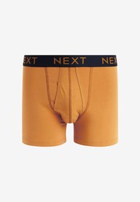 Next A FRONTS 10 PACK - Calzoncillos - mixed colour