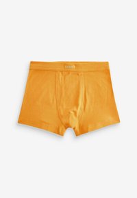 Next 7 PACK - Panties - bright colour