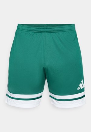 Pantalones cortos deportivos verdes con cintura elástica, con rayas y detalles blancos. Hechos de una tela suave con un logotipo en el lateral.