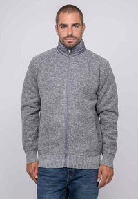 Homme avec des cheveux courts et une barbe, portant un gilet en tricot gris zippé et un jean bleu, debout contre un fond clair.