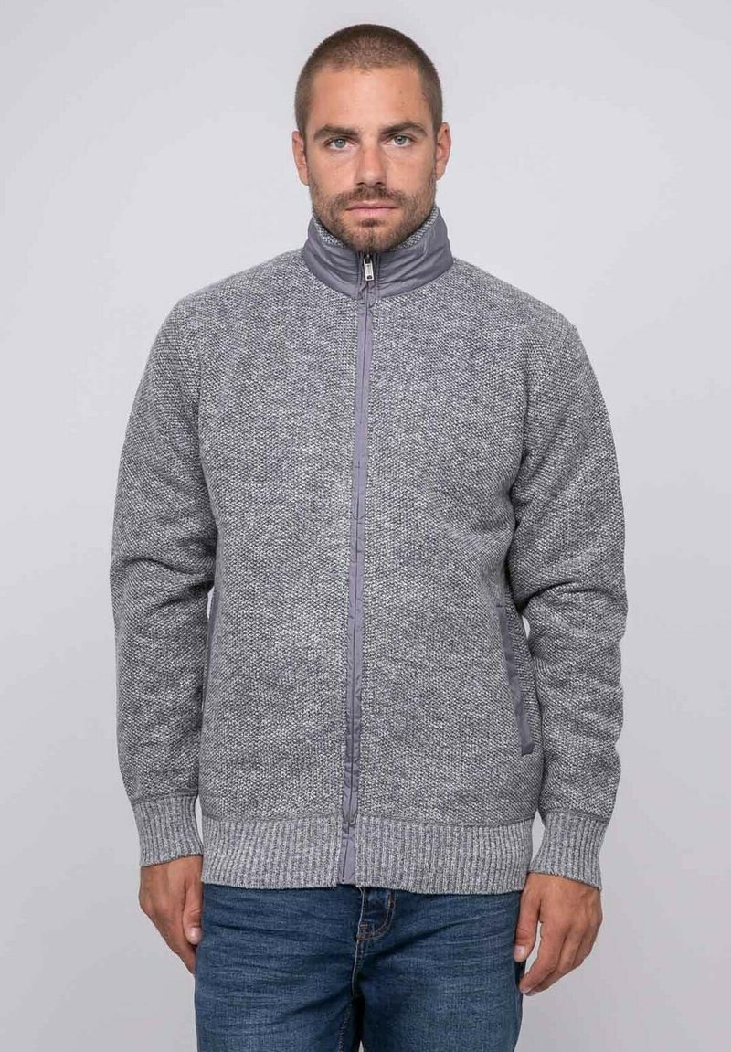 Homme avec des cheveux courts et une barbe, portant un gilet en tricot gris zippé et un jean bleu, debout contre un fond clair.