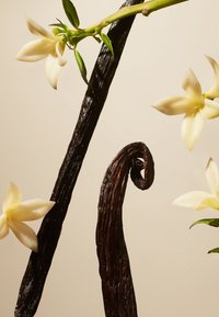 Miniatyrbild 4