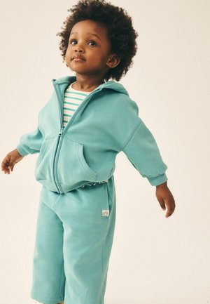 Next, REGULAR FIT - ZIP THROUGH HOODIE - Lukuga pusa - green