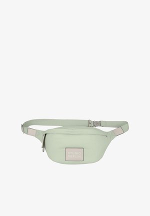Mint green fanny pack with a smooth texture, a rectangular shape, a logo patch, and an adjustable strap. Features a zippered compartment.