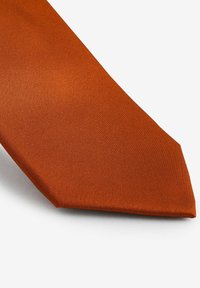 Båndknude i en rig orange farve, der har en glat tekstur og en spids ende design. Stoffet virker let reflekterende.