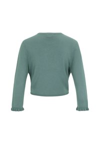 Top accorciato a maniche lunghe in morbido tessuto verde tenue. Presenta un colletto rotondo e polsini arricciati. Texture liscia con dettagli minimi.