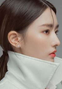 Daniel Wellington ASPIRATION - Orecchini - white