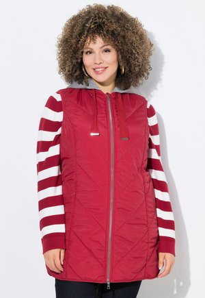 Veste matelassée rouge avec capuche grise, présentant des manches rayées rouge et blanc, et des détails avec cordon de serrage au niveau du col.