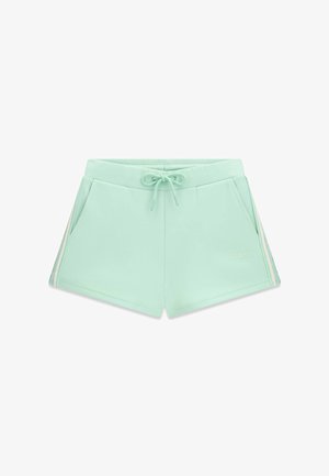Guess, SEITENBAND SHORTS - Pantalon de survêtement - grün