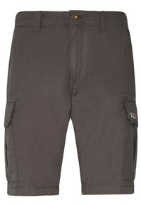 Grijze cargoshorts gemaakt van lichtgewicht stof. Kenmerken zijn zijzakken, een knoopsluiting en een rechte snit met nette stikdetails.