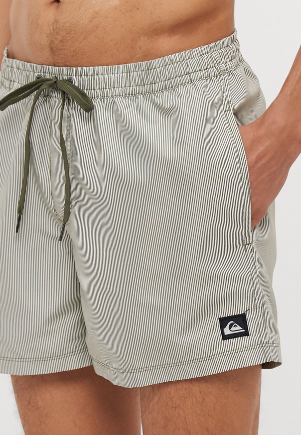 EVERYDAY DELUXE VOLLEY - Swimming shorts - grape leaf2